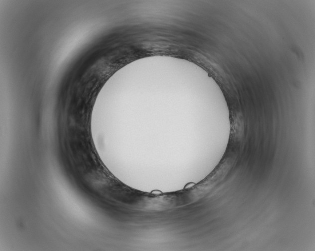 X0000111350430200908071137