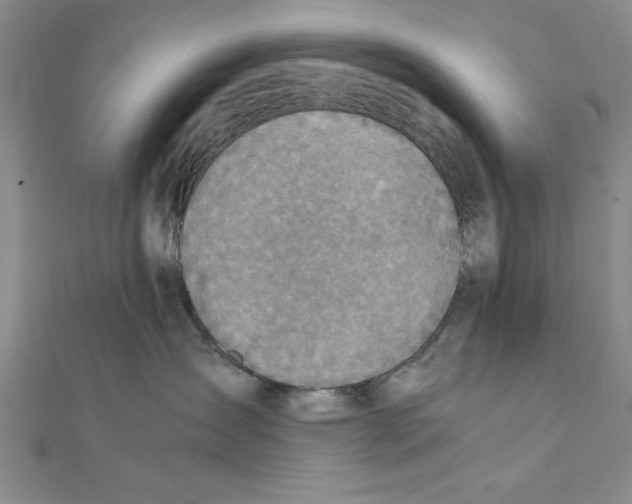 X0000111350431200908071137