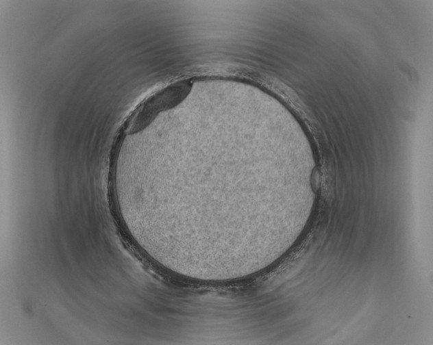 X0000111350434200908071136
