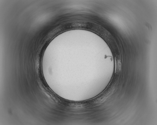 X0000111350435200908071136