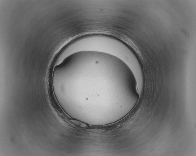 X0000111350436200908071136
