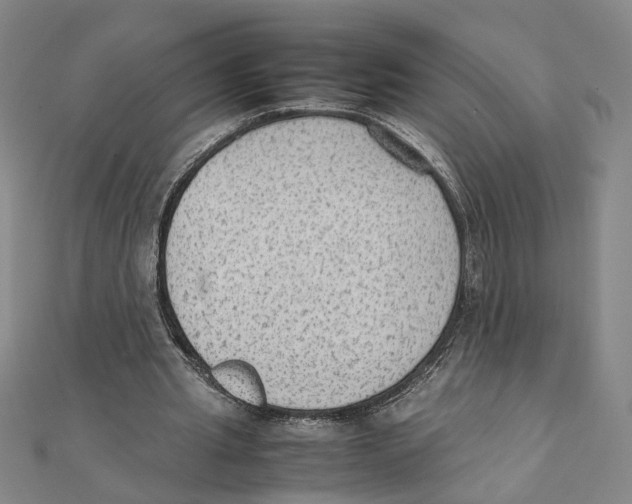X0000111350437200908071136