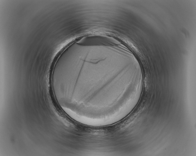 X0000111350438200908071136