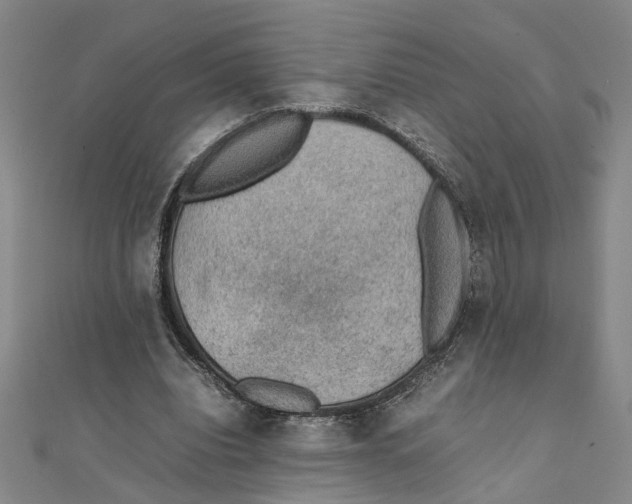 X0000111350440200908071136