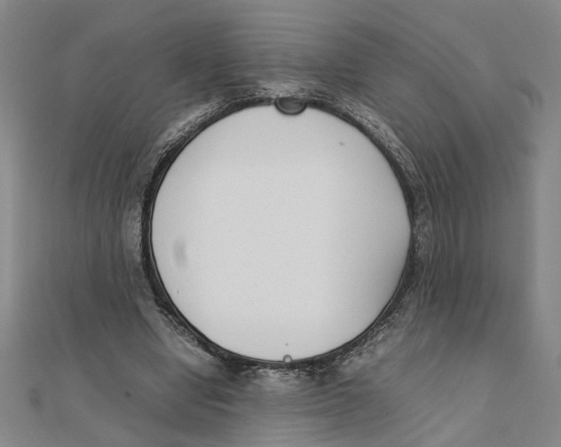 X0000111350442200908071136