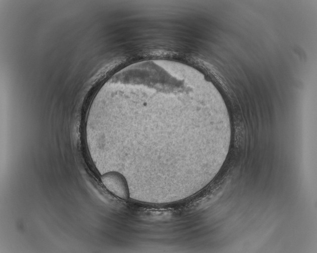 X0000111350443200908071136