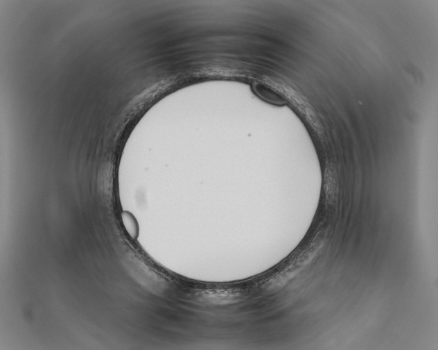 X0000111350445200908071136
