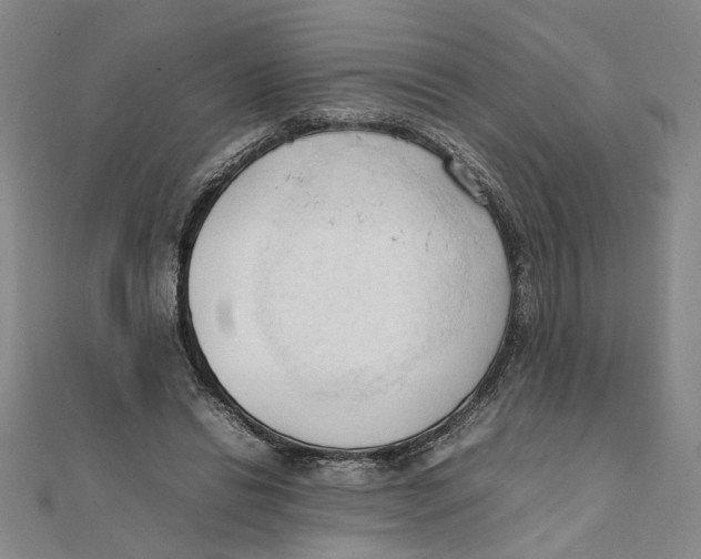 X0000111350446200908071136