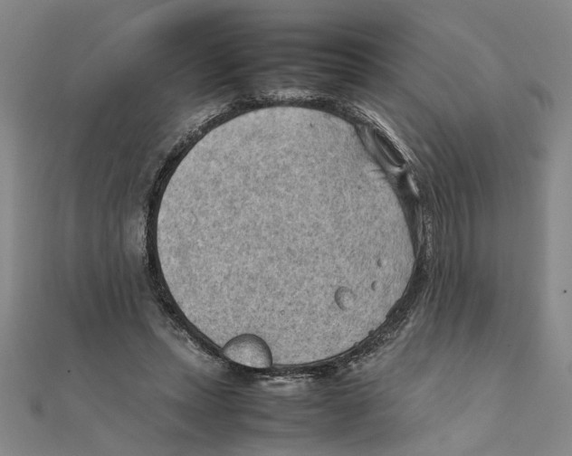 X0000111350447200908071136
