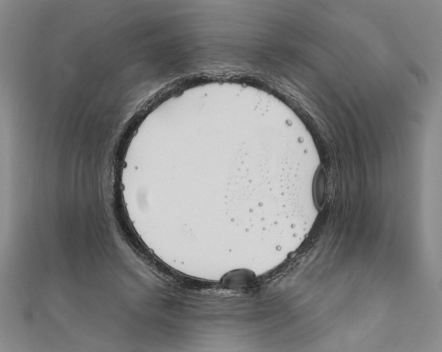 X0000111350448200908071136