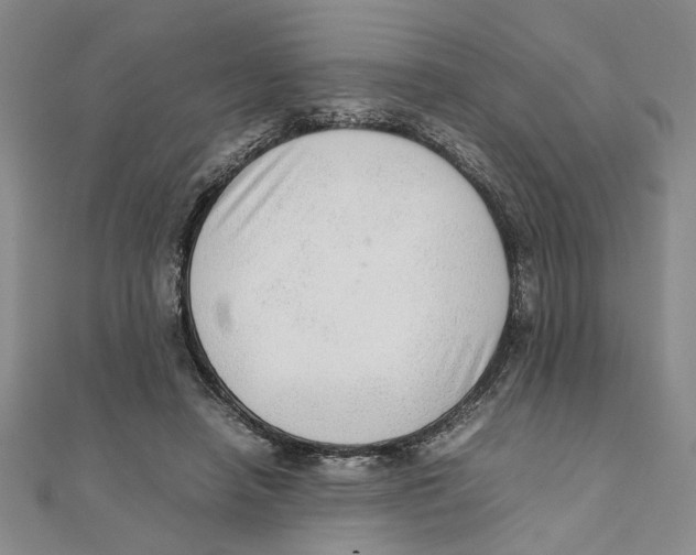 X0000111350450200908071136
