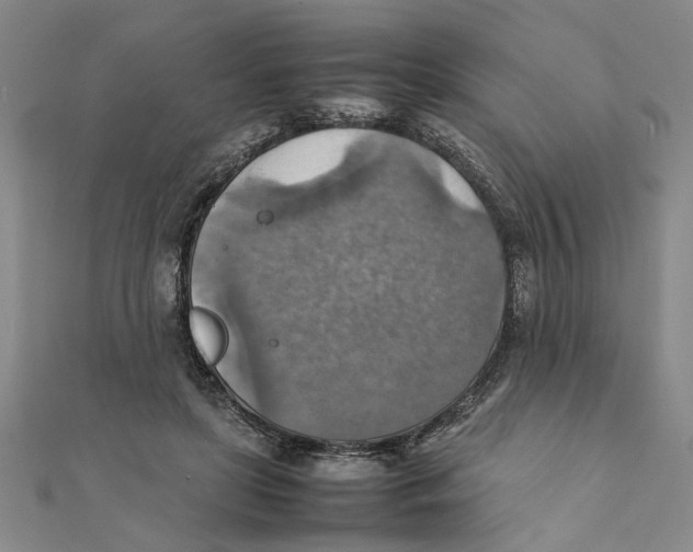 X0000111350451200908071136