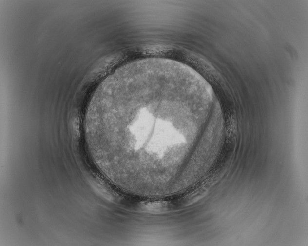 X0000111350452200908071136