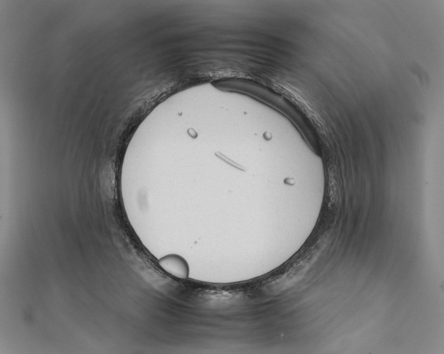 X0000111350453200908071136