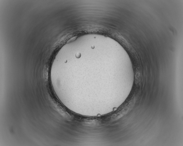 X0000111350454200908071136