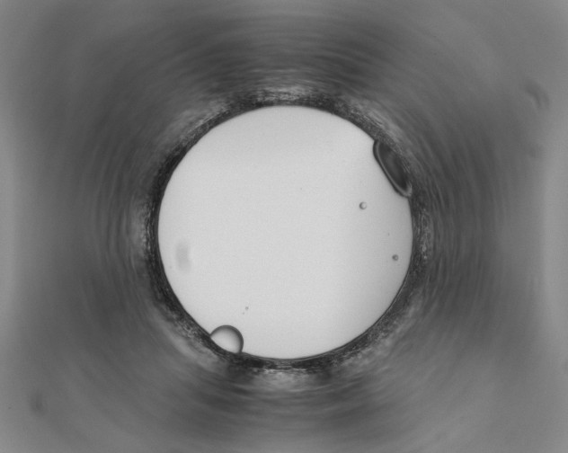 X0000111350455200908071136