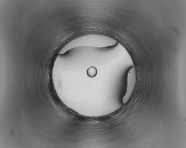 X0000111350456200908071136