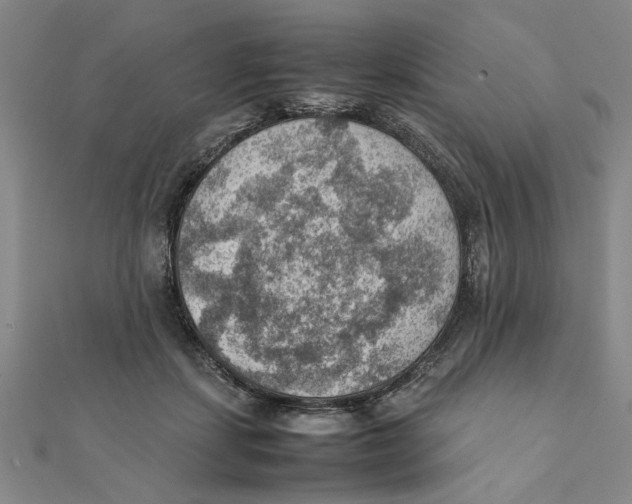 X0000111350459200908071136