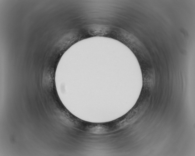 X0000111350460200908071136