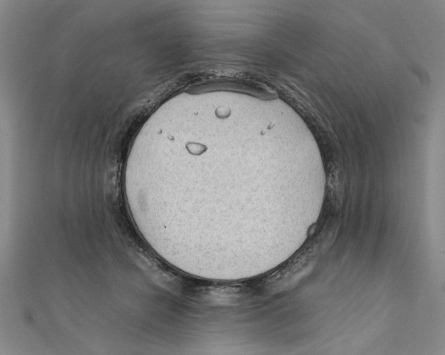 X0000111350462200908071136