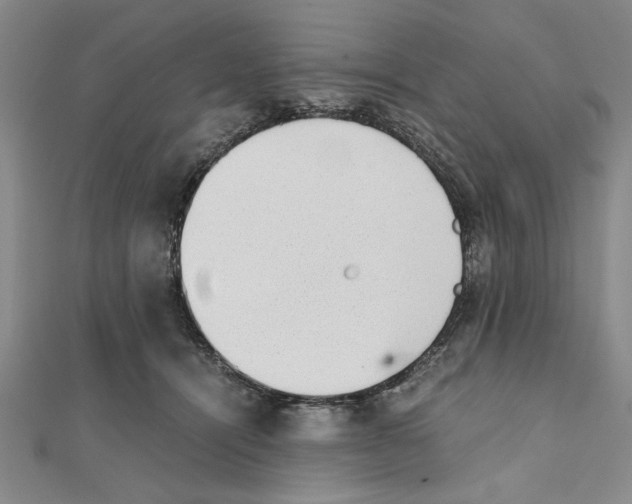 X0000111350464200908071136