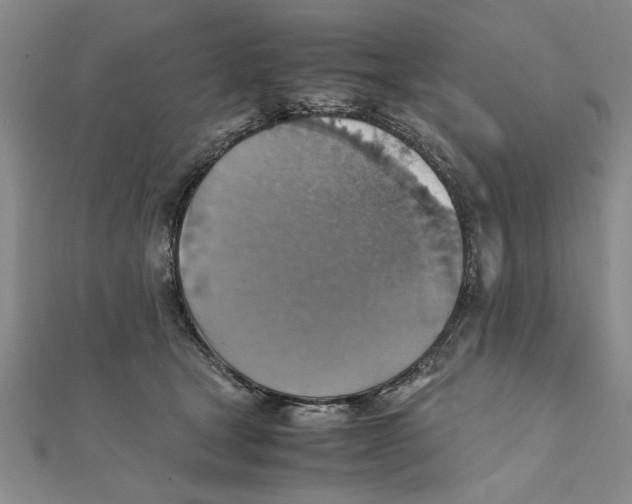 X0000111350465200908071136