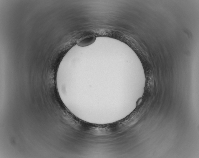 X0000111350466200908071136