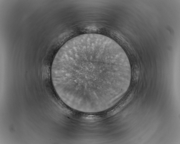 X0000111350467200908071136