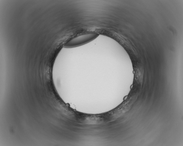 X0000111350470200908071137