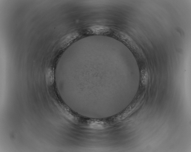 X0000111350471200908071137