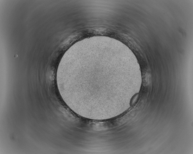 X0000111350472200908071137
