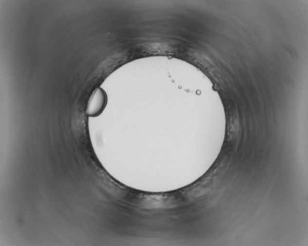 X0000111350473200908071137