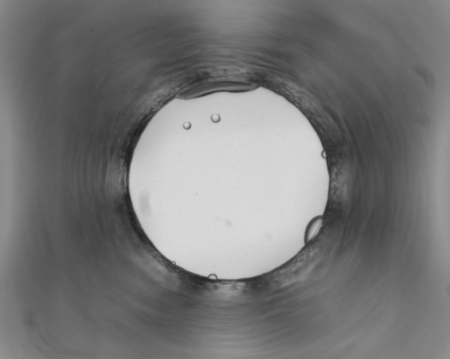 X0000111350474200908071137