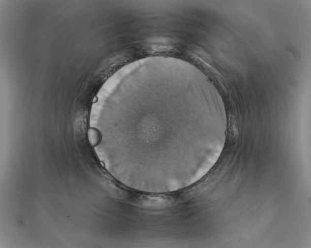 X0000111350475200908071137