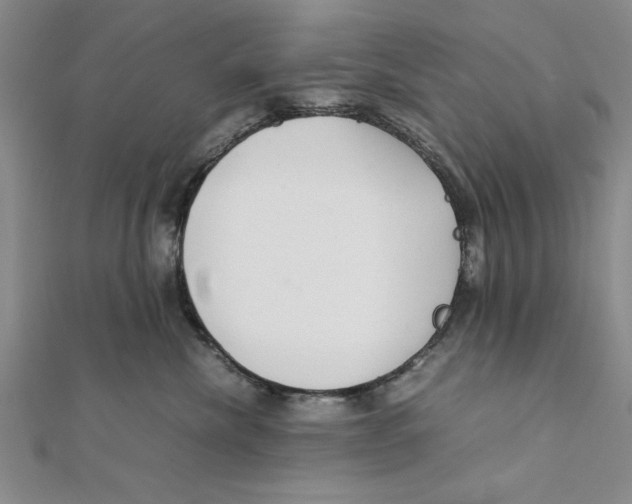 X0000111350476200908071137