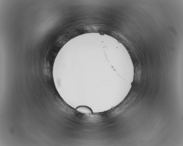 X0000111350477200908071137