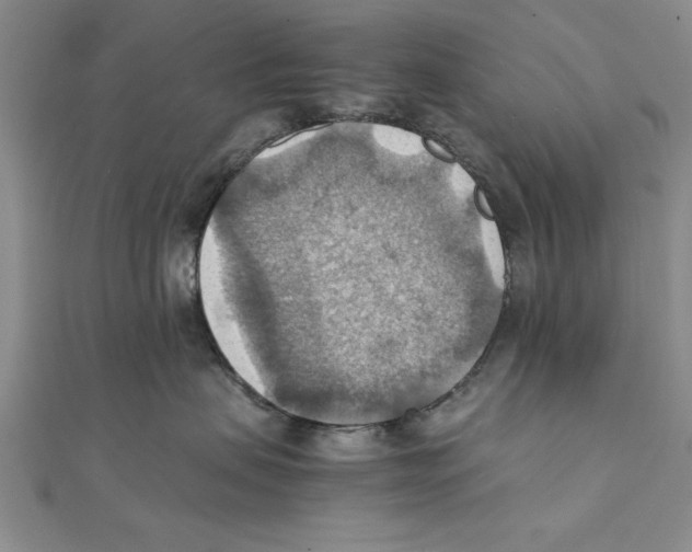 X0000111350479200908071137
