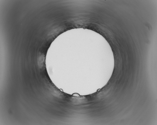 X0000111350480200908071137