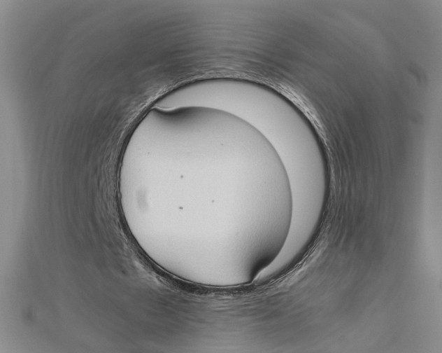 X0000111350481200908071136