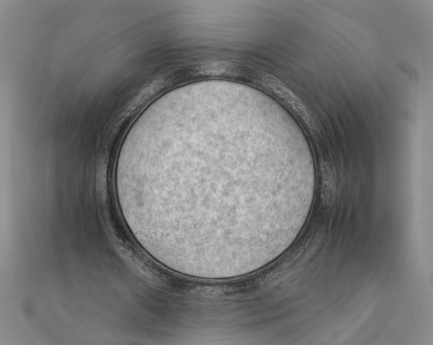 X0000111350482200908071136