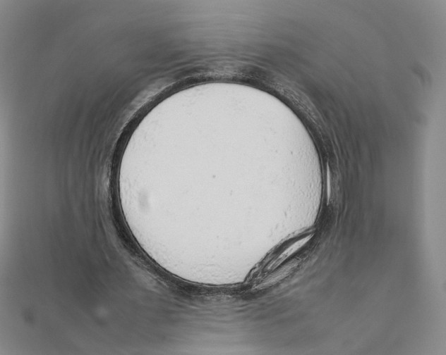 X0000111350483200908071136