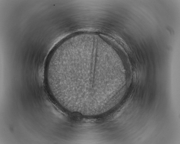 X0000111350484200908071136