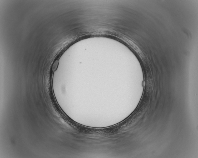 X0000111350485200908071136