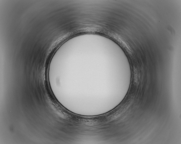 X0000111350486200908071136