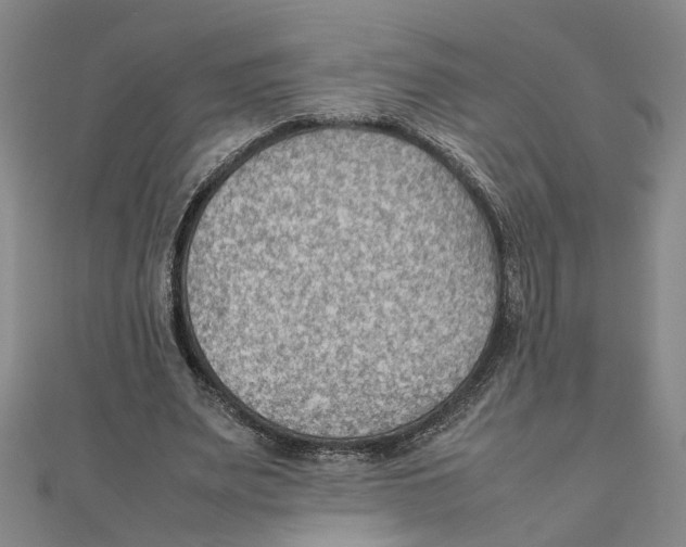 X0000111350487200908071136