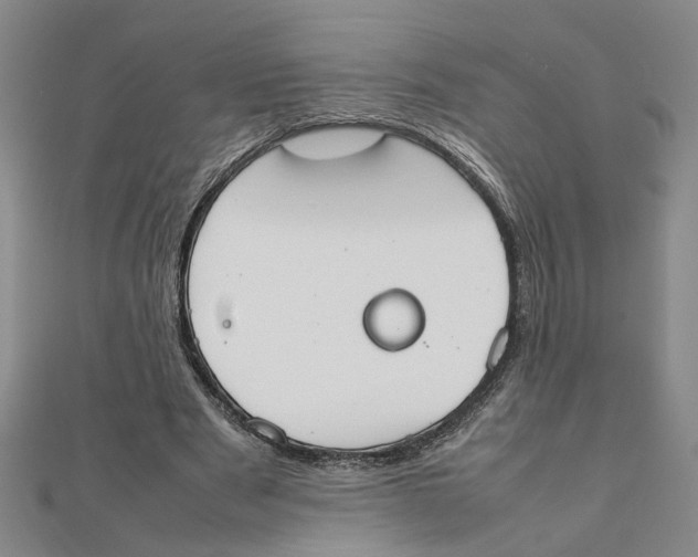 X0000111350489200908071136