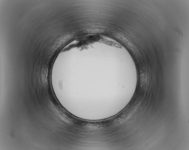X0000111350490200908071136