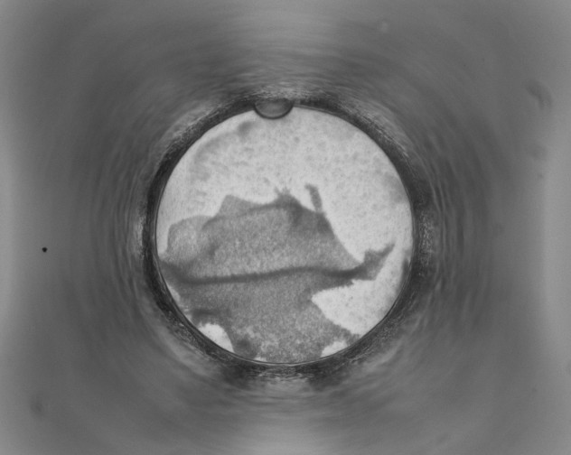 X0000111350491200908071136