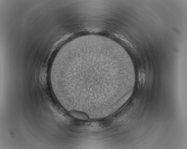 X0000111350492200908071136