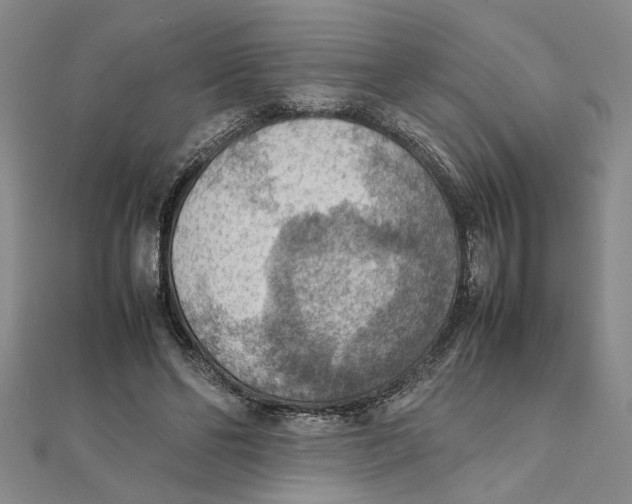 X0000111350494200908071136